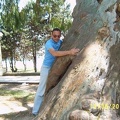 06.jpg