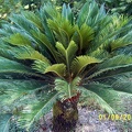 SV502614.JPG