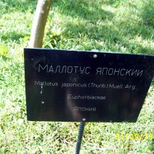 Сухумский ботанический сад  (Абхазия) 2009,2011