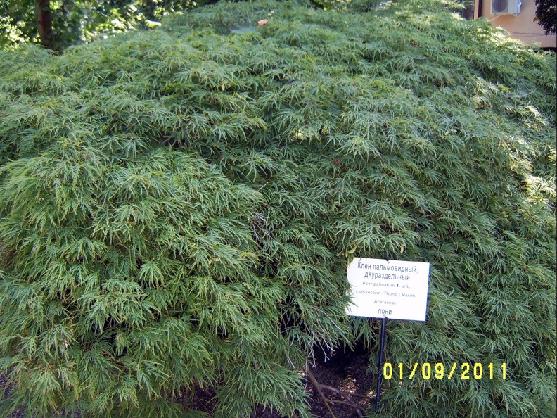 SV502632.JPG