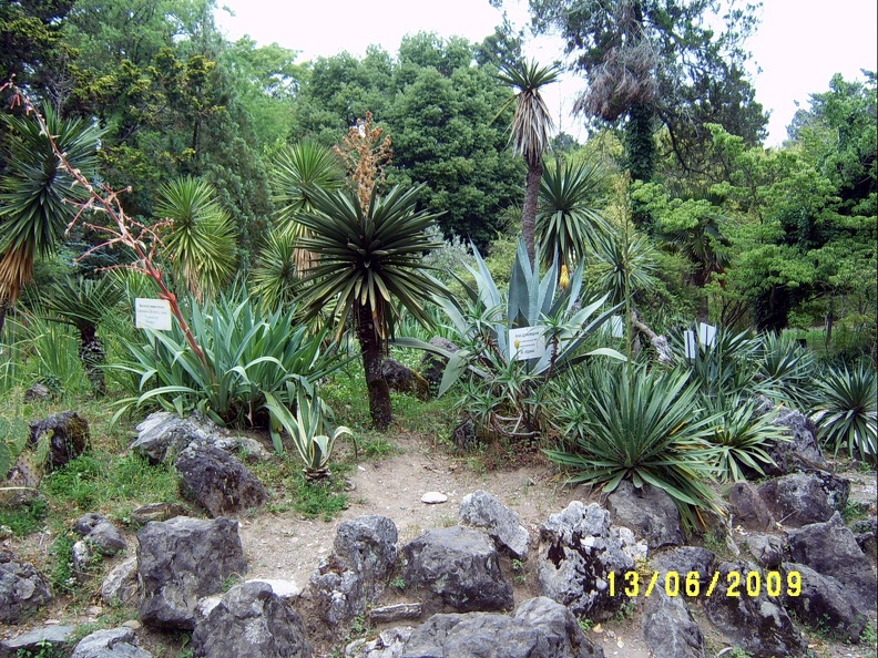 SV503029.JPG