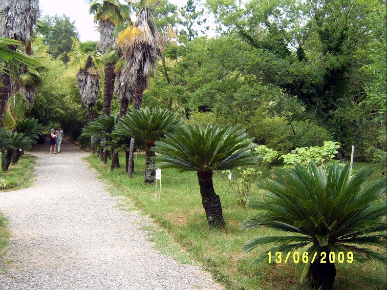 SV503036.JPG
