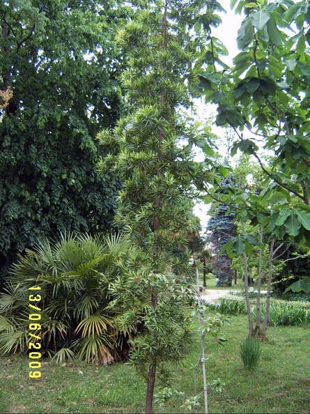 SV503037.JPG
