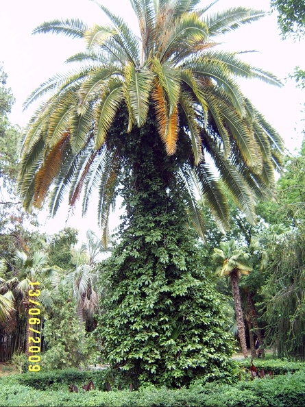 SV503048.JPG