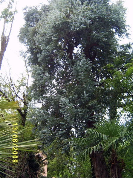 SV503049.JPG
