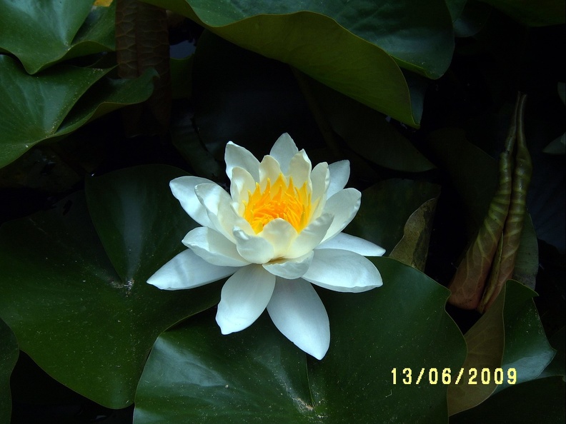 SV503050.JPG