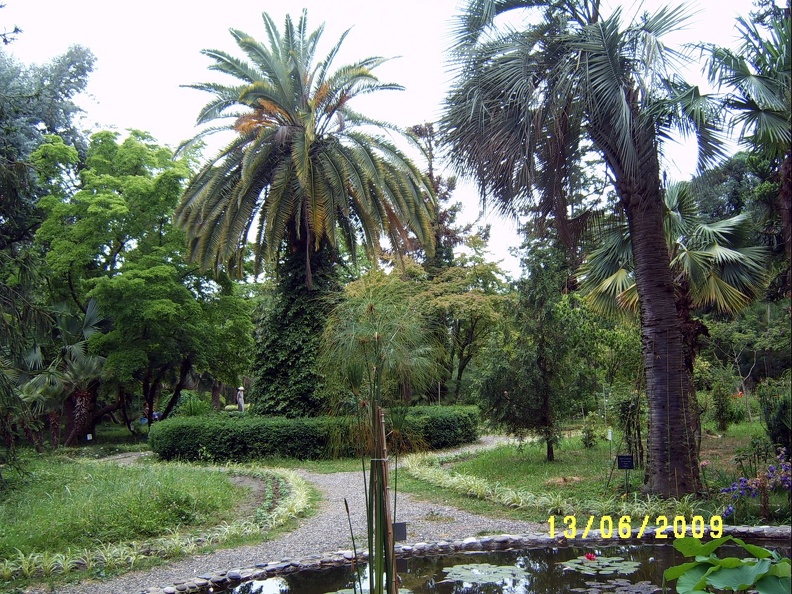 SV503065.JPG