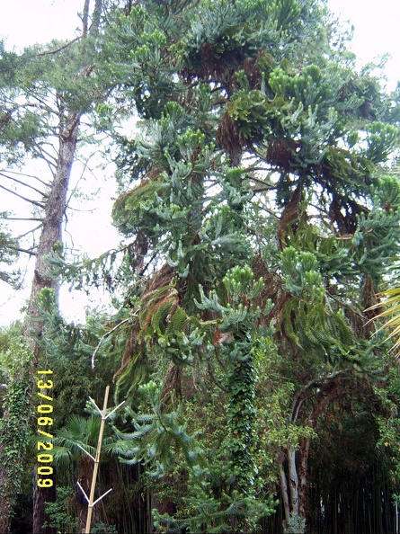 SV503068.JPG