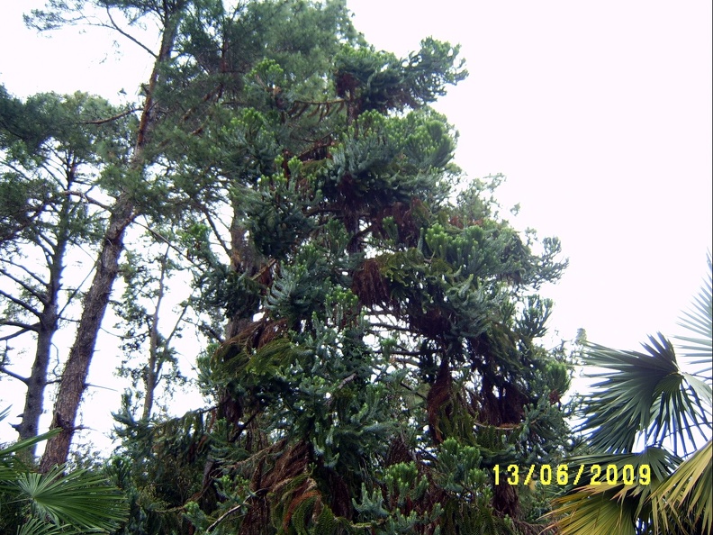SV503069.JPG