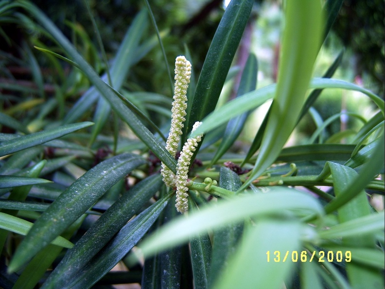 SV503074.JPG