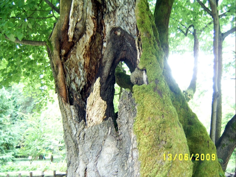 SV503089.JPG