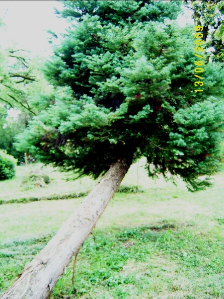 SV503094.JPG