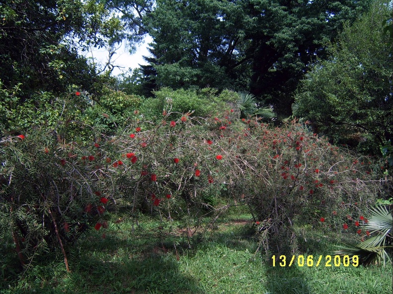 SV503126.JPG