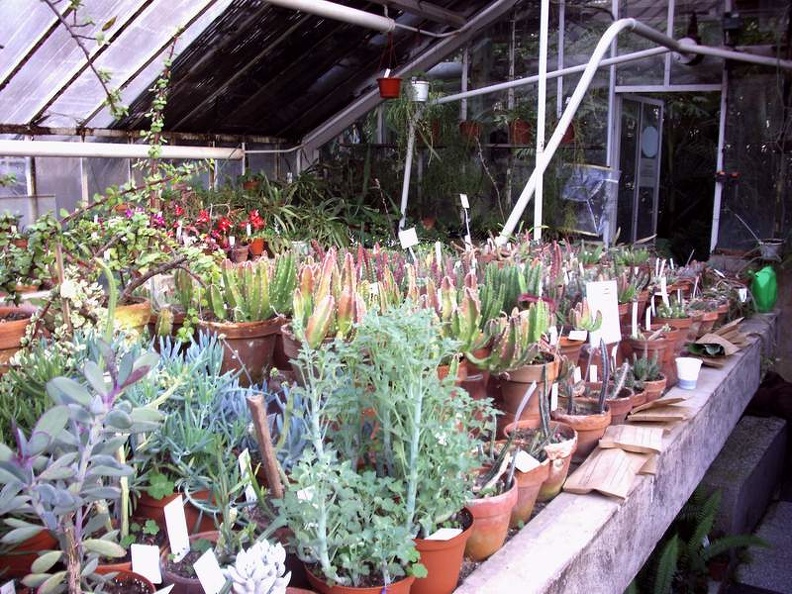 PICT0019.JPG