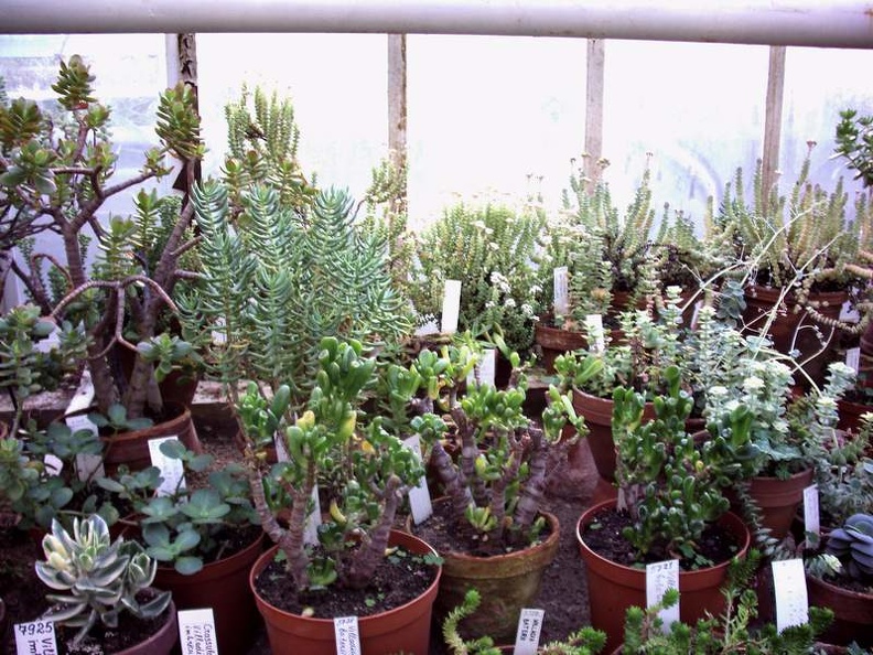 PICT0021.JPG