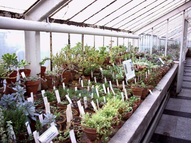 PICT0023.JPG