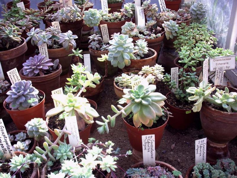 PICT0025.JPG