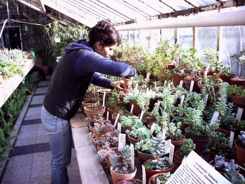 PICT0026.JPG