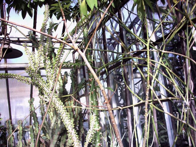 PICT0031.JPG