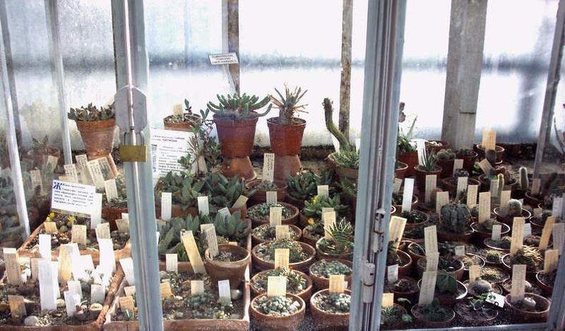 PICT0036.JPG