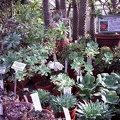 PICT0048.JPG