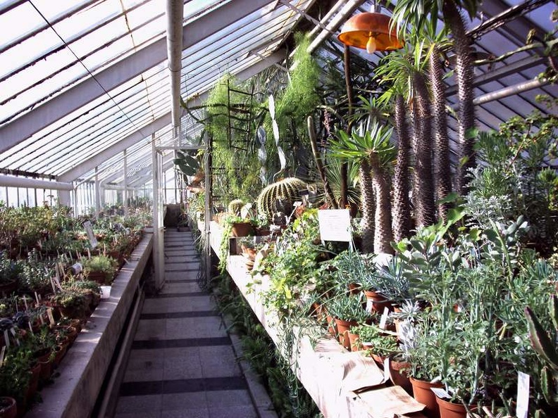 PICT0055.JPG
