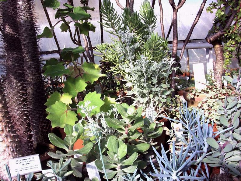 PICT0061.JPG