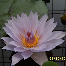 09
