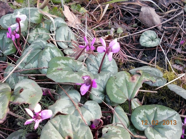 DSCN3341.JPG