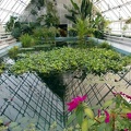 DSCN3353.JPG