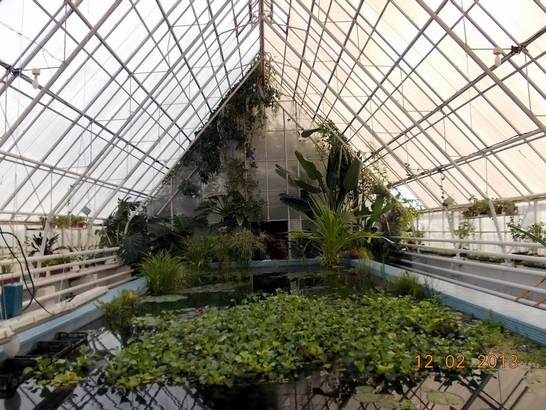DSCN3354.JPG