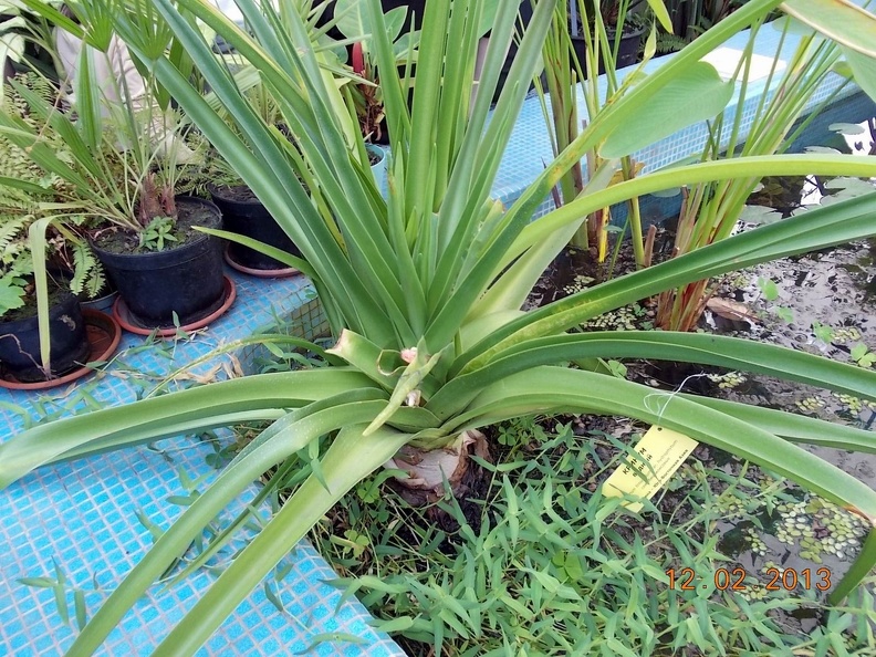 DSCN3368.JPG