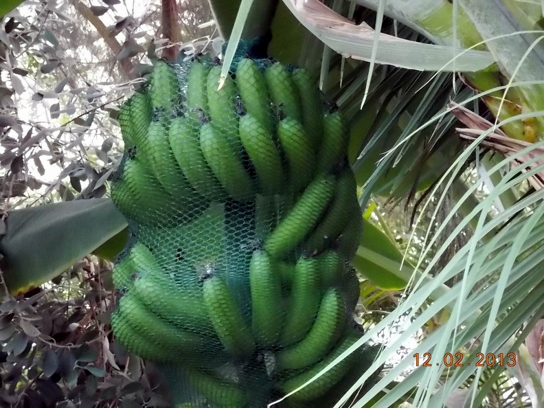 DSCN3377.JPG