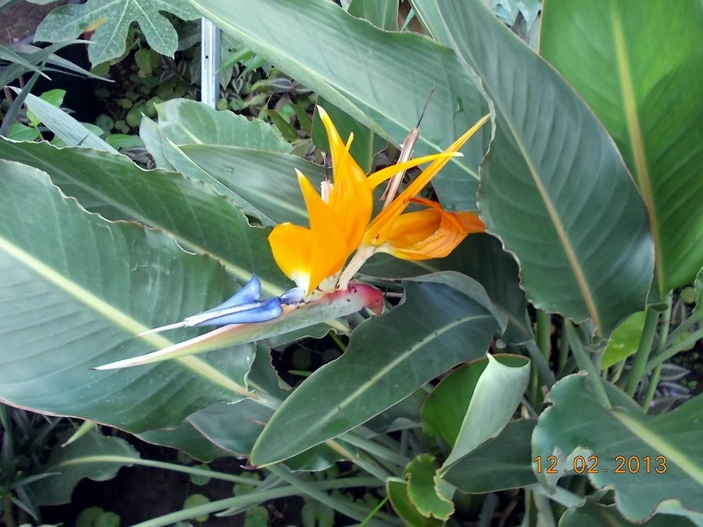 DSCN3389.JPG