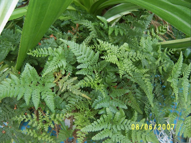 SV504914.JPG