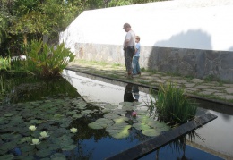 Jardin Botanico, Puerto De La Cruz (о. Тенерифе) 2009