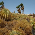 IMG_4658.jpg