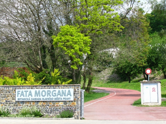 Оранжерея Фата Моргана  (Прага)