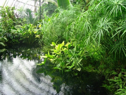 Оранжерея Фата Моргана  (Прага)