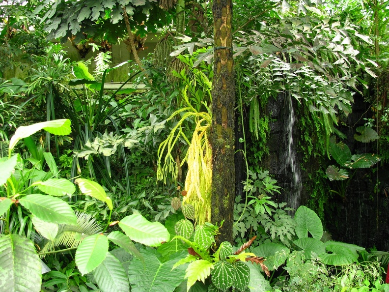 IMG_8306.jpg