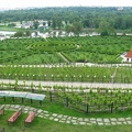 Vinogradniki.jpg