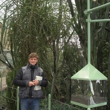 Ботанический сад в Вене (Австрия)