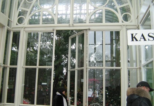Ботанический сад в Вене (Австрия) (1796 відвідувань) Фото Галина Радкова (Варна, Болгария)
Ботанический сад в Вене (Австрия)