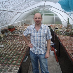 Кактусівники