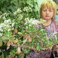 Наталья Долгополова (d-nv) (г. Радужный, Владимирская область, Россия) 2008 (3784 відвідувань) Наталья Долгополова (d-nv) (г. Радужный, Владимирская область, Россия) 2008