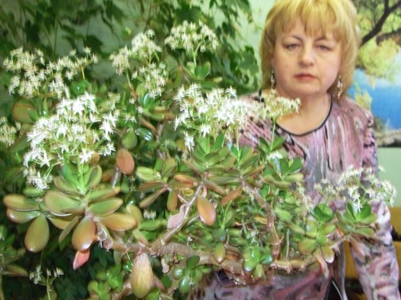 Наталья Долгополова (d-nv) (г. Радужный, Владимирская область, Россия) 2008 (3784 відвідувань) Наталья Долгополова (d-nv) (г. Радужный, Владимирская область, Россия) 2008