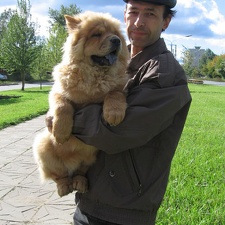 Юрий Епишин (г. Пермь, Россия) 2002 