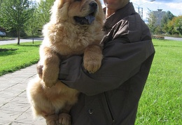 Юрий Епишин (г. Пермь, Россия) 2002 