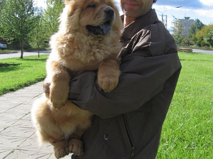 Юрий Епишин (г. Пермь, Россия) 2002 