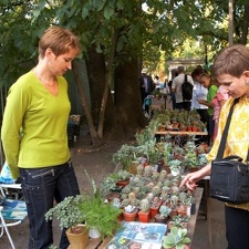 Елена Иванова (Ivelena) и Татьяна Арсентьева (Киев) 2008